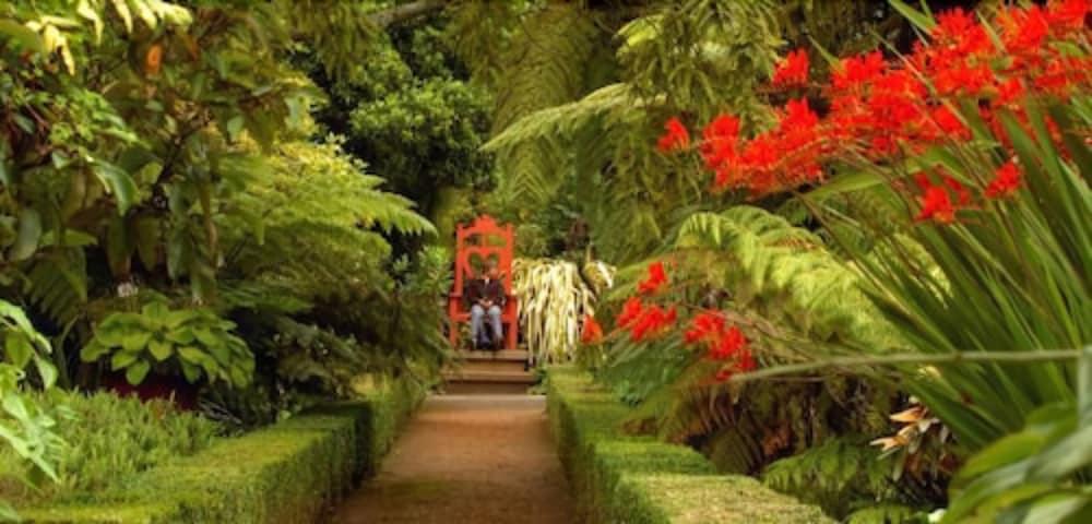 Camp Estate By Larnach Castle Βίλα Ντούνεντιν Εξωτερικό φωτογραφία