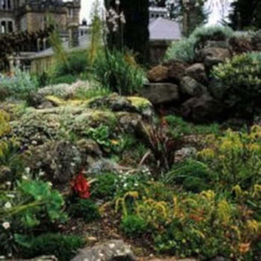 Camp Estate By Larnach Castle Βίλα Ντούνεντιν Εξωτερικό φωτογραφία